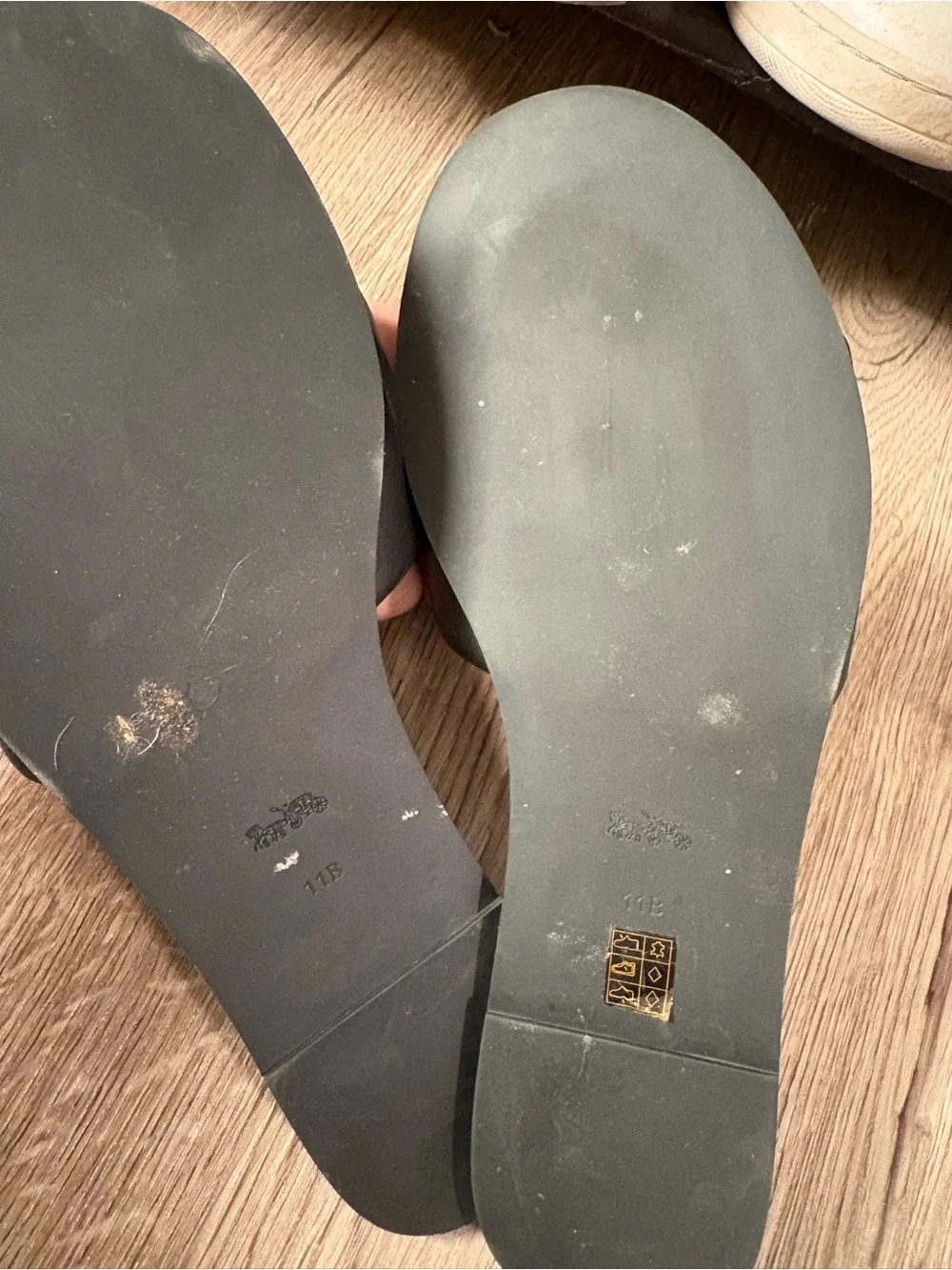 Coach Holly Sandals
